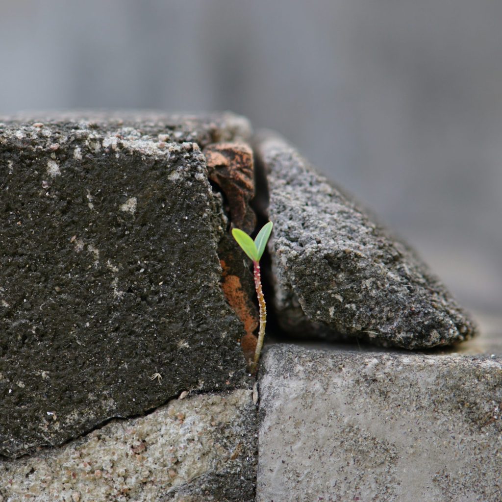 Recession-Proof Ways to Manage Money During Economic Uncertainty